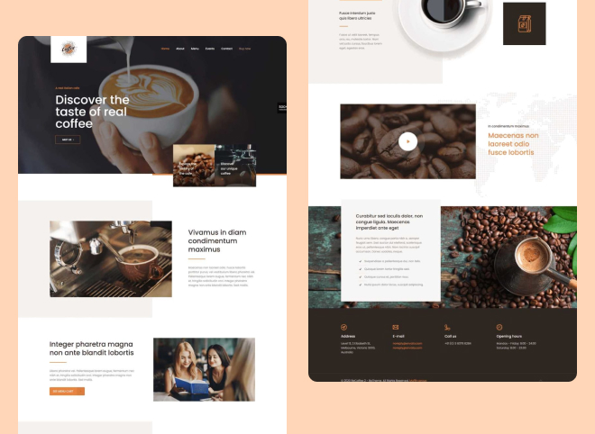 Web Application development